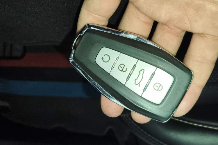 Used Geely Auto Monjaro L 2024 2.0TD DCT EVO Two-Wheel Drive Long-Range Version