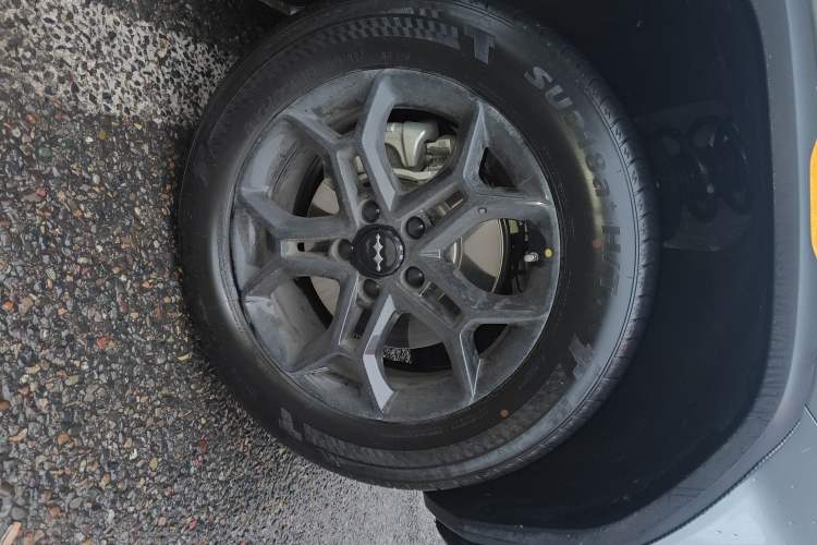 Used  Titanium 3 2025 501 km Range Rear-Wheel Drive Intelligent Driving Max Edition