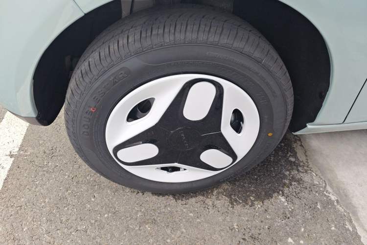 Used  Panda 2025 210 km – Yuanqi Bear
