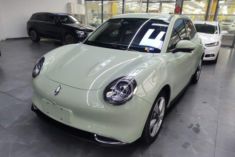 Used ORA Good Cat 2022 400km Standard Range Luxury Version Lithium Iron Phosphate