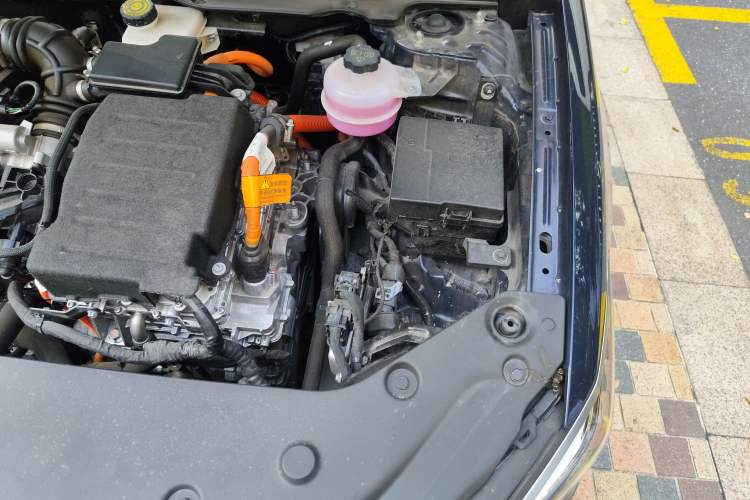 Used BYD Qin PLUS 2024 HONOR Edition DM-i 55KM Leading Model
