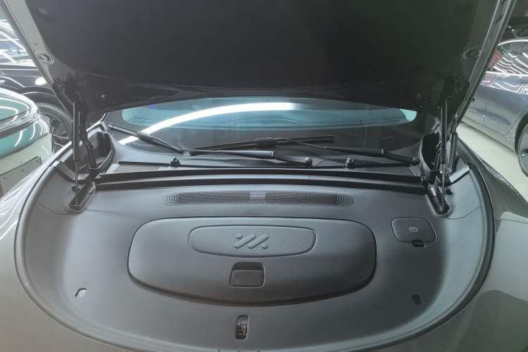 Used  LS6 2023 Max Long-Range Version
