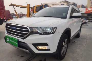 Used Haval H6 Coupe 2016 Blue Label 1.5T Manual Two-Wheel Drive Elite Model