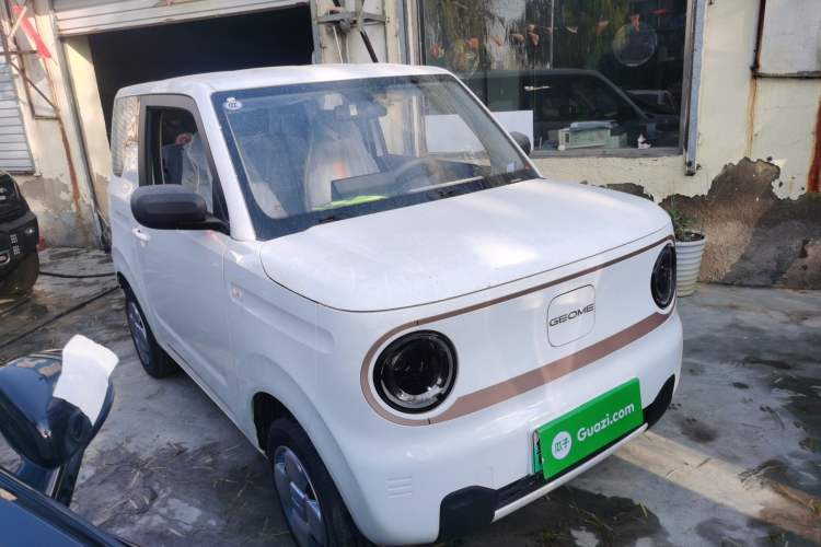 Used  Panda 2024 Panda Mini 200km Endurance Bear
