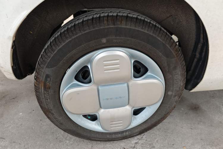 Used  Panda 2024 Panda Mini 200km Endurance Bear
