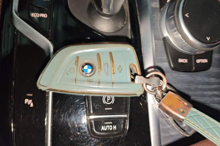 Used BMW 5 Series 2022 530Li Leading Model M Sport Package
