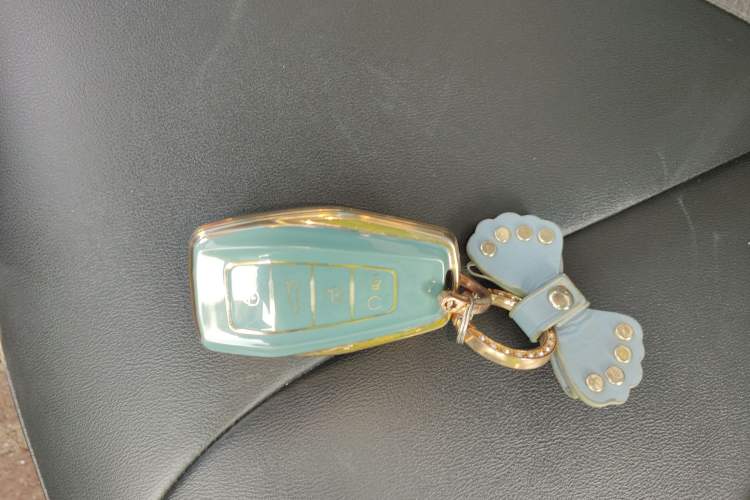 Used Geometry E Firefly 2024 301km Starlight
