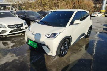 Used BYD Seagull 2025 305 km Free Version