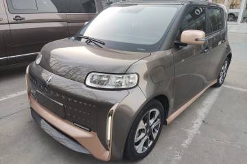 Used ORA White Cat 2022 Xiaoyue Mao Edition 360 km Luxury Model Lithium NMC