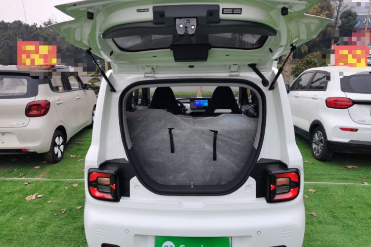 Used  Panda 2024 Panda Mini 200km Endurance Bear