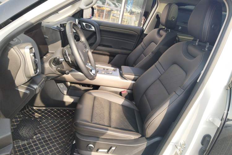 Used Haval DARGO 2024 2.0T DCT Chinese Rural Dog Edition
