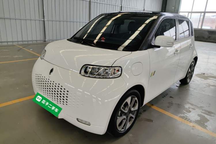 Used ORA White Cat 2020 305 km Luxury Version
