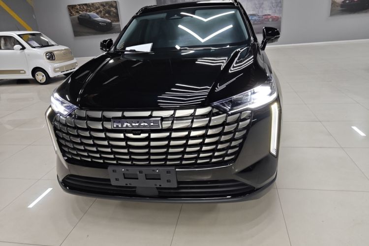 Used Haval H6 2024 1.5T Two-Wheel Drive Max

