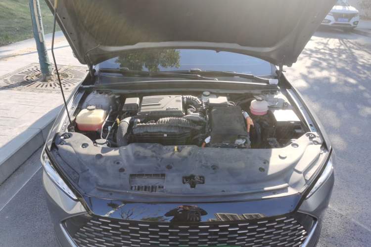 Used BYD Qin PLUS 2023 Champion Edition DM-i 55KM Leading Model