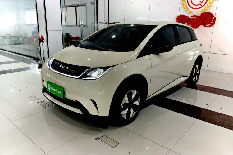 Used BYD Dolphin 2025 420km Free Edition

