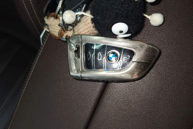 Used BMW 5 Series 2020 525Li Luxury Package