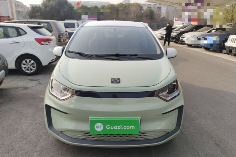 Used SOL E10X 2022 Flower Fairy Design Four-Leaf Clover
