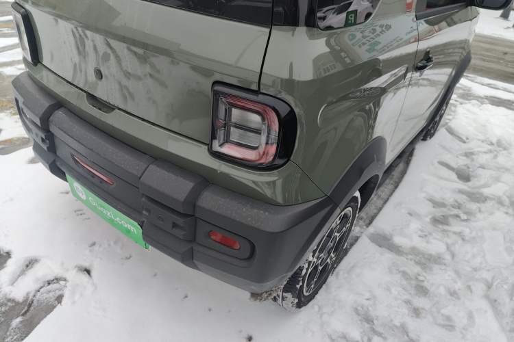 Used  Panda 2024 200km Panda Rider