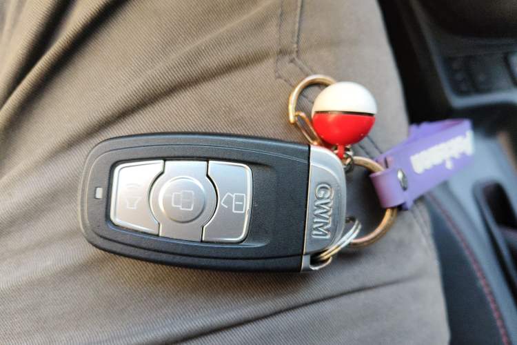 Used Haval H6 2017 Restyled Red-Label Sport Version 1.5T Automatic Two-Wheel Drive Luxury Trim