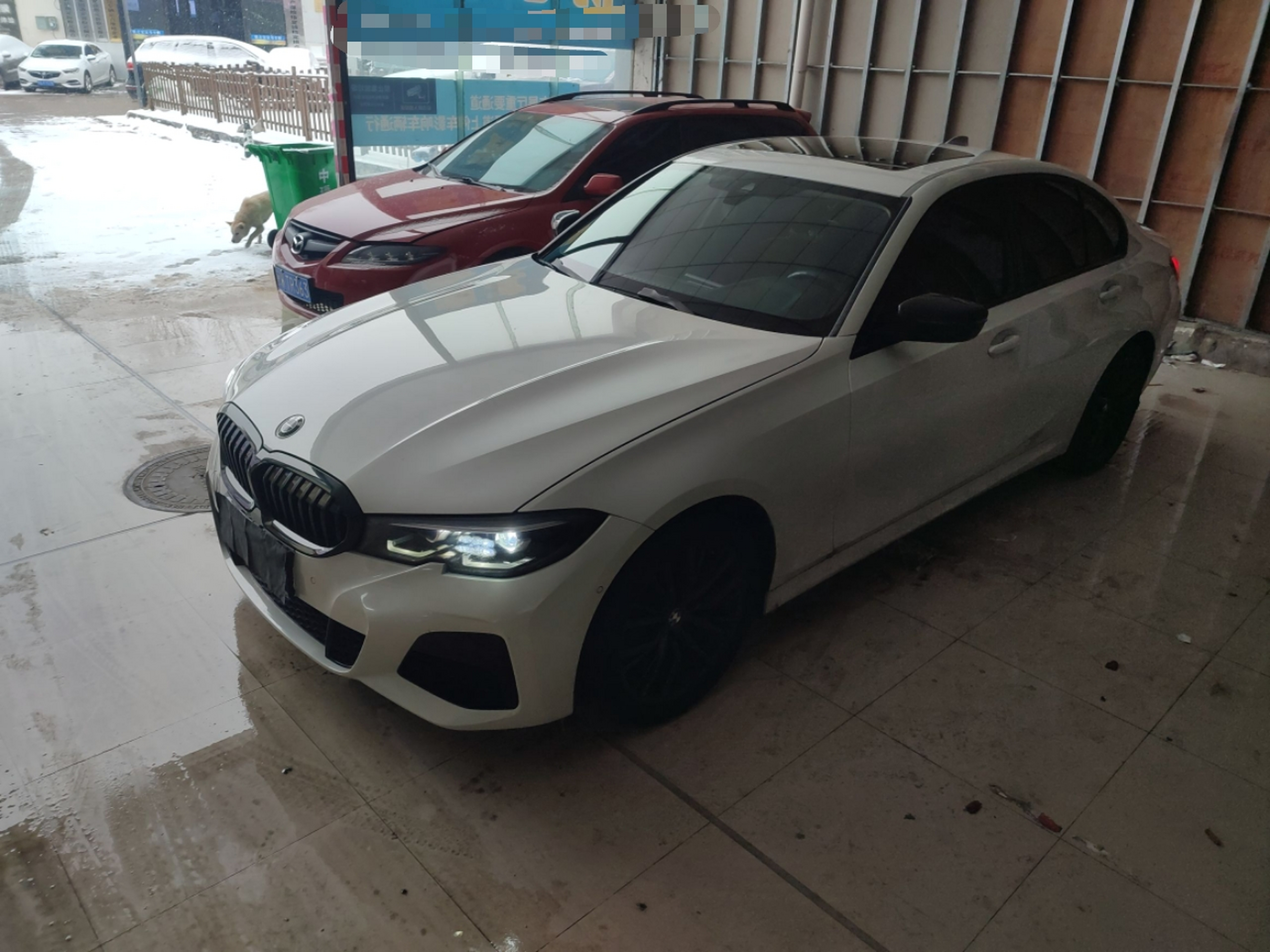 تحت مقدمة السيارة