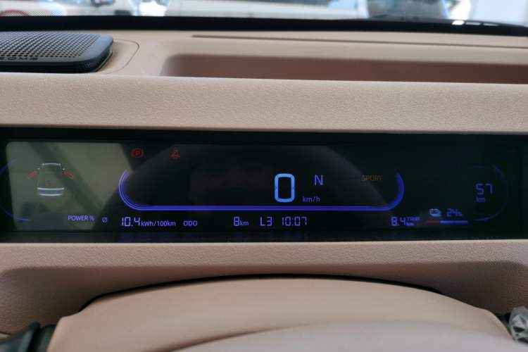 Used  Panda 2024 Panda Mini 200km Endurance Bear
