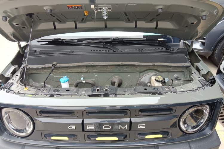 Used  Panda 2024 200km Panda Rider
