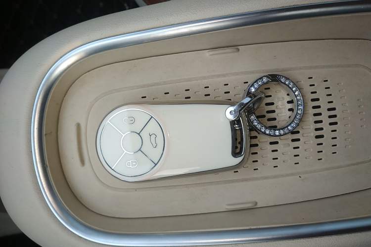 Used ORA Good Cat 2023 401 km Standard Range Luxury Version Lithium Iron Phosphate