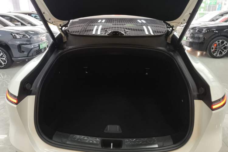 Used  06 2025 Ultra Pure Electric Edition
