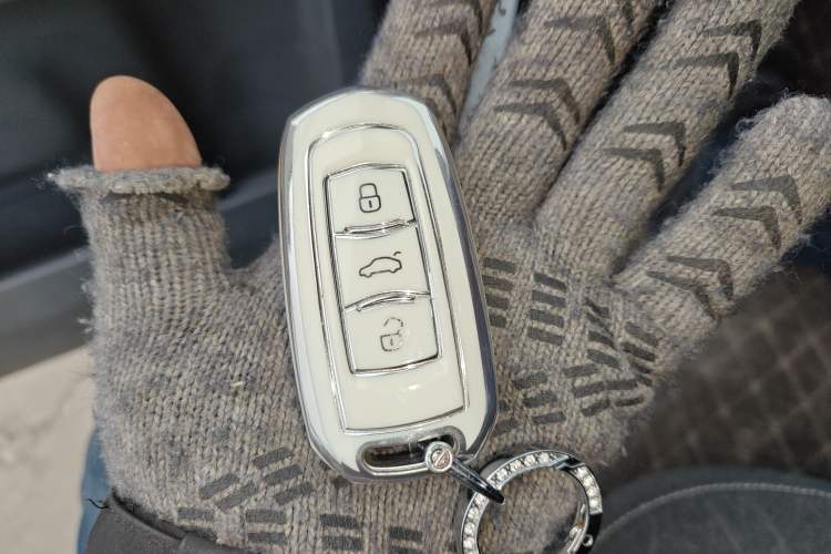 Used  Panda 2024 Panda Mini 200km Endurance Bear