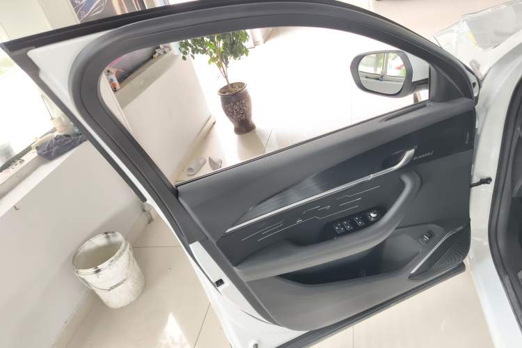 Used Geely Auto Monjaro L 2024 2.0TD High-Power Automatic Two-Wheel Drive Skyline Edition
