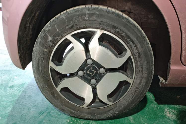 Used SOL E10X 2022 Flower Fairy Style Baby's Breath