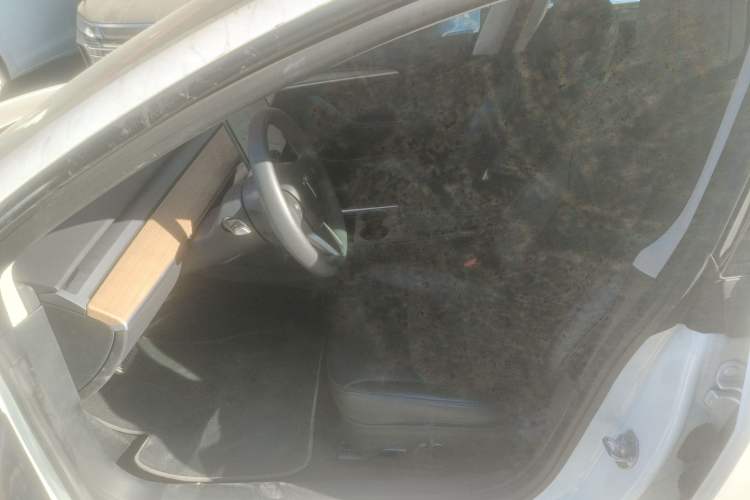 Used Tesla Model 3 2021 Standard Range Rear-Wheel Drive Upgraded Version 3D6
