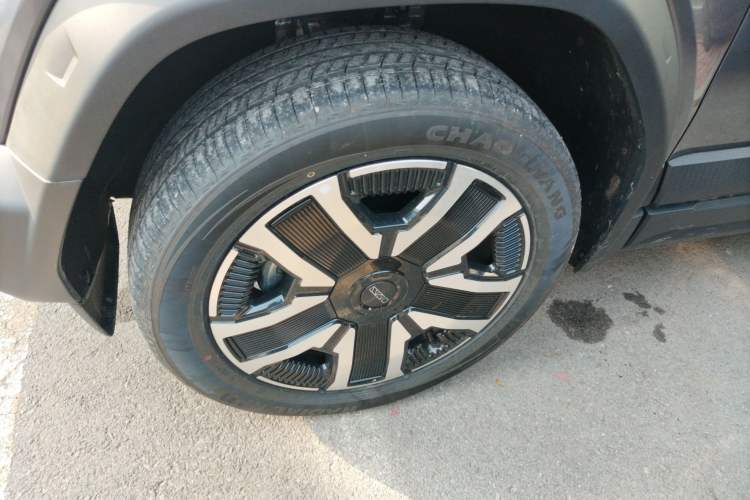 Used  03 2024 472km Four-Wheel Drive Long-Range Version
