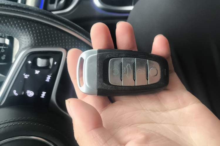 Used Hongqi H9 2020 3.0T Smart Connect Flagship Four-Seat Version
