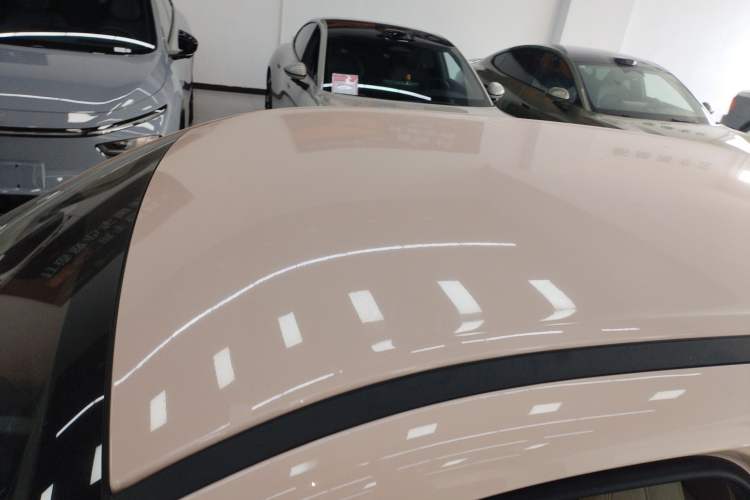 Used ORA Good Cat 2023 401 km Standard Range Luxury Version Lithium Iron Phosphate
