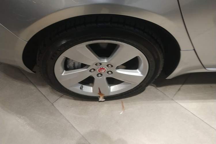 Used Jaguar XFL 2020 XFL 2.0T P200 Two-Wheel-Drive Elite Edition
