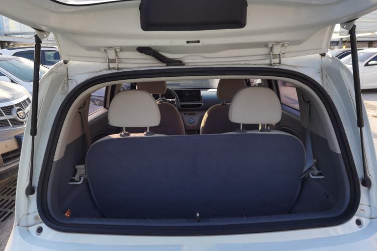 Used ORA White Cat 2020 360 km Luxury Version