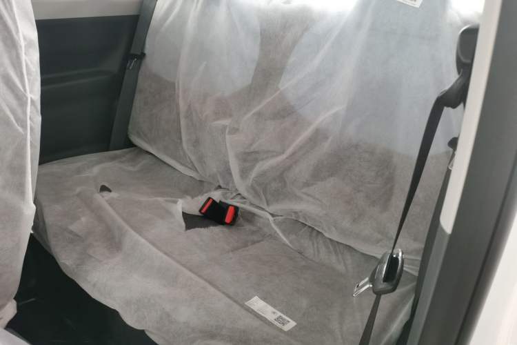 Used  Panda 2024 Panda Mini 200km Endurance Bear
