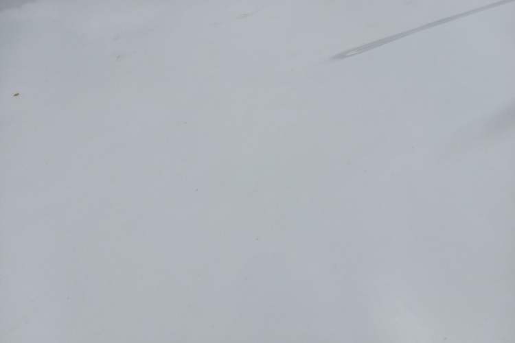 Used Jetta VS5 2022 280TSI Automatic Trend Edition