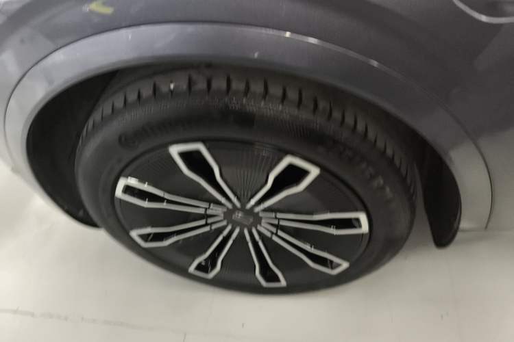 Used  07 2024 Max Extended-Range Edition
