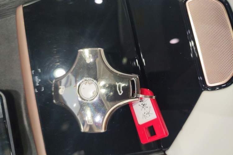 Used  eπ007 2024 Pure Electric 540 All-Wheel Drive Max Edition
