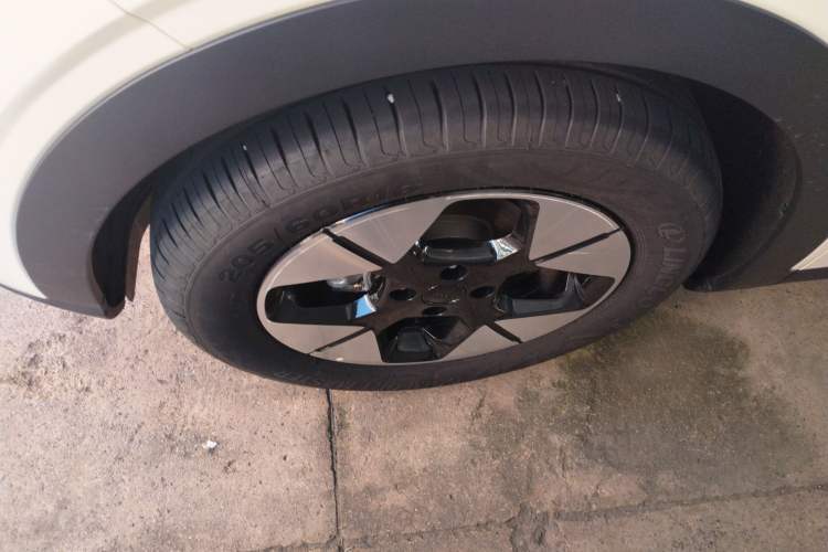 Used  Geome 2025 310km Dream Edition
