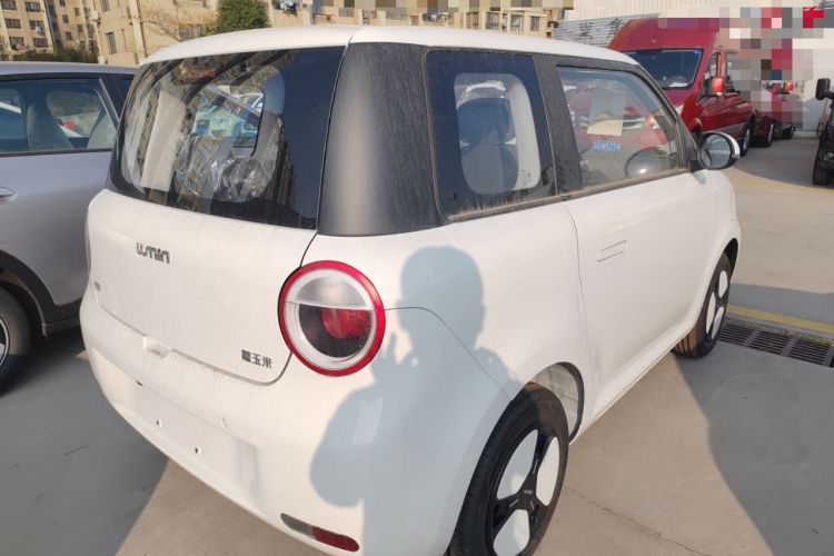 Used  Lumin 2025 205 km Xiangqin Version
