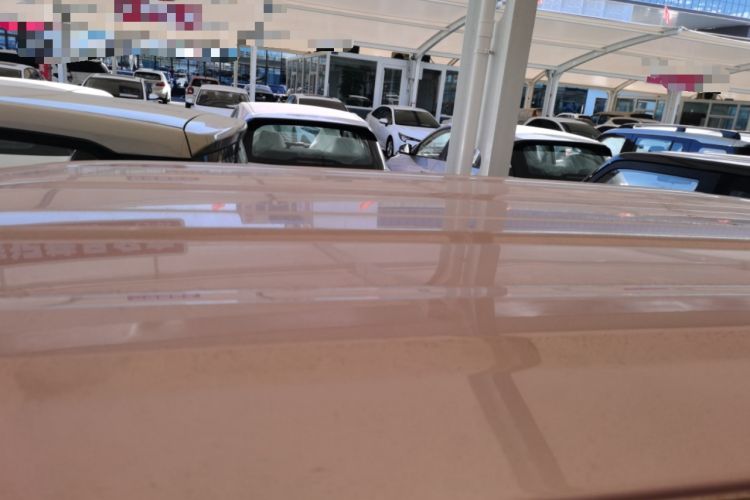 Used  Panda 2024 Panda Mini 200km Endurance Bear
