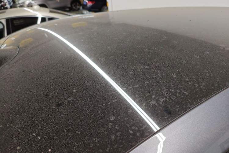 Used  07 2024 Max Extended-Range Edition