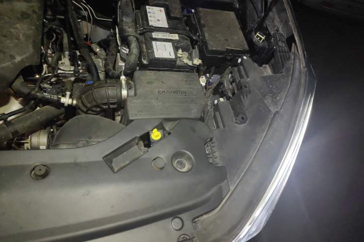 Used Oshan X7 2021 1.5T Manual Luxury Version
