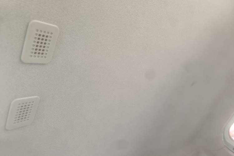 Used  Panda 2024 Panda Mini 200km Endurance Bear
