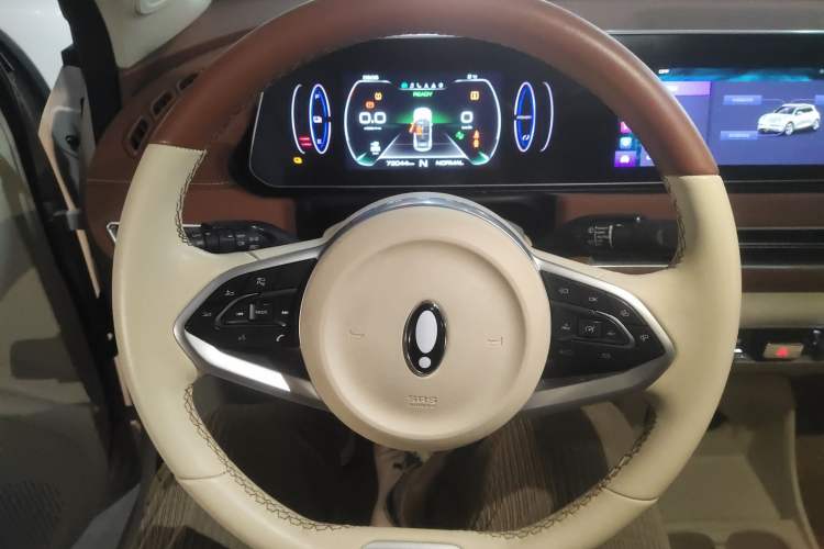 Used ORA Good Cat 2022 Morandi Edition 400km Standard Range Luxury Version Lithium-Ion Battery