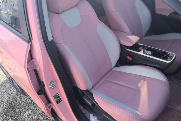 Used NETA V 2021 Witch Edition