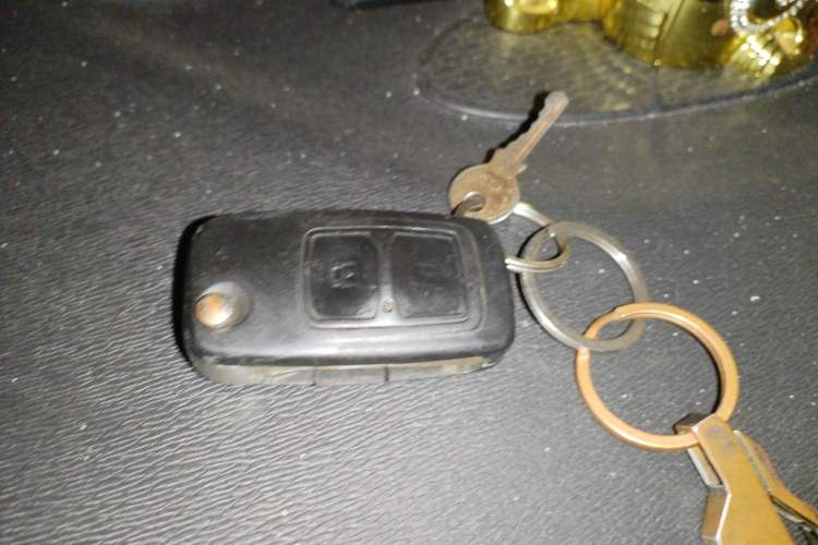 Used Chana Shenqi F30 2018 1.5L Standard Version with Air Conditioning Short Wheelbase DAM15L